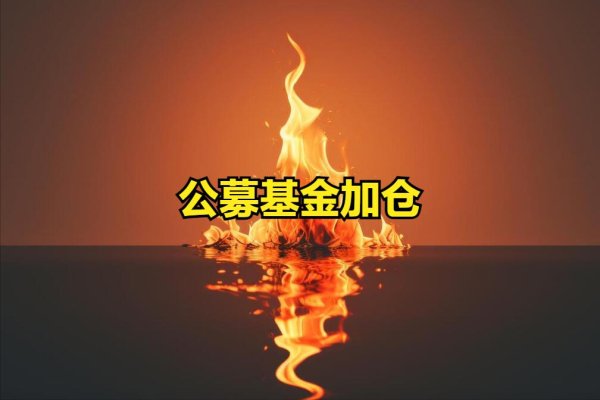 如何选择股票技巧 好事，公募基金一季度加仓动向，前50大重仓股名单一览