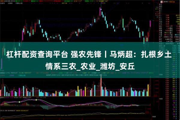 杠杆配资查询平台 强农先锋丨马炳超：扎根乡土 情系三农_农业_潍坊_安丘